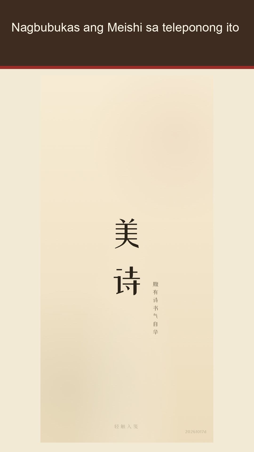 Meishi: tulang Tsino
